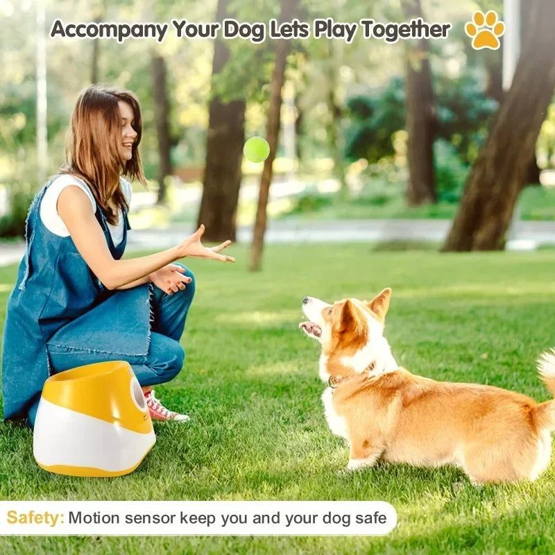 Automatic Pet Throw Jump Ball Dog Catapult Ball Launcher Dog Toy Bulldog Toy Tennis Machine Automatic Pet Throw