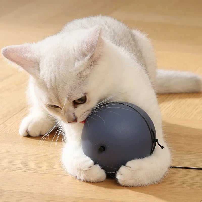 Cat Toys Mouse Teaser Ball Fun Moving Toy for Pet Cat Dog Electric Teaser Ball Automatic Intelligent Rolling Ball