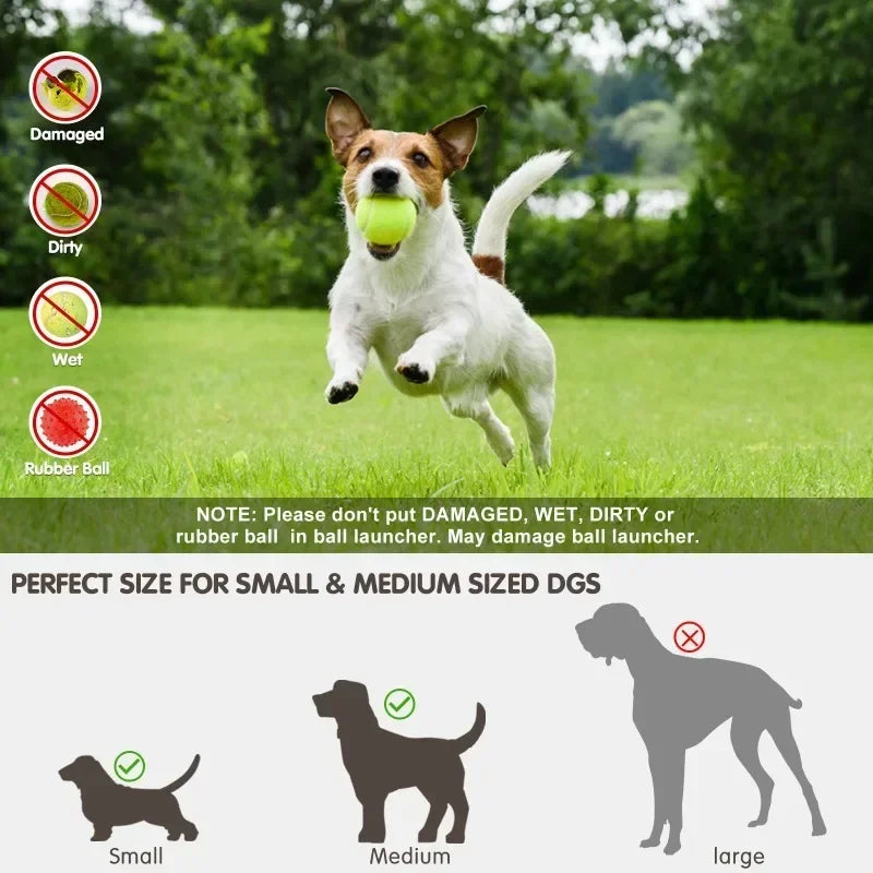 Automatic Pet Throw Jump Ball Dog Catapult Ball Launcher Dog Toy Bulldog Toy Tennis Machine Automatic Pet Throw