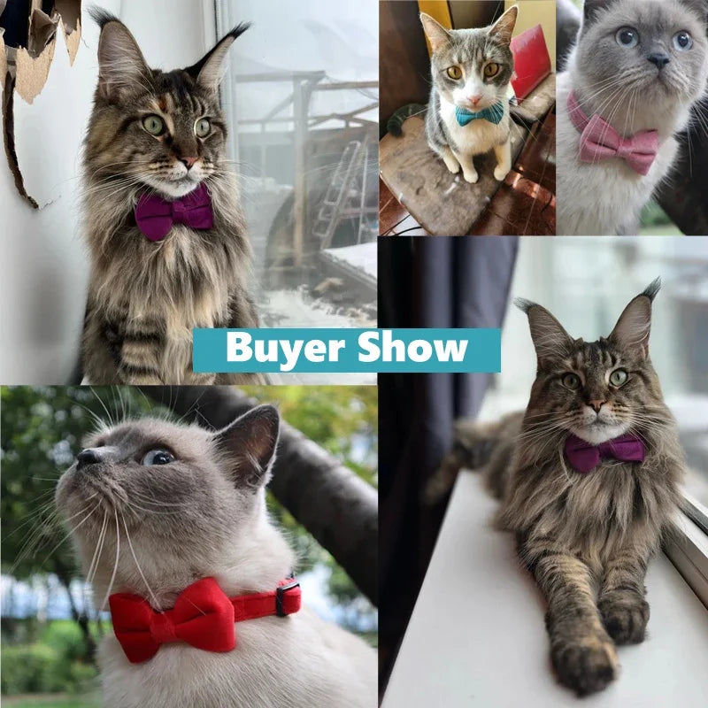 Velvet Cat Collar Solid Color Bowknot Puppy Chihuahua Collars with Bell Adjustable Safety Buckle Cats Bow Tie Pets Accessories