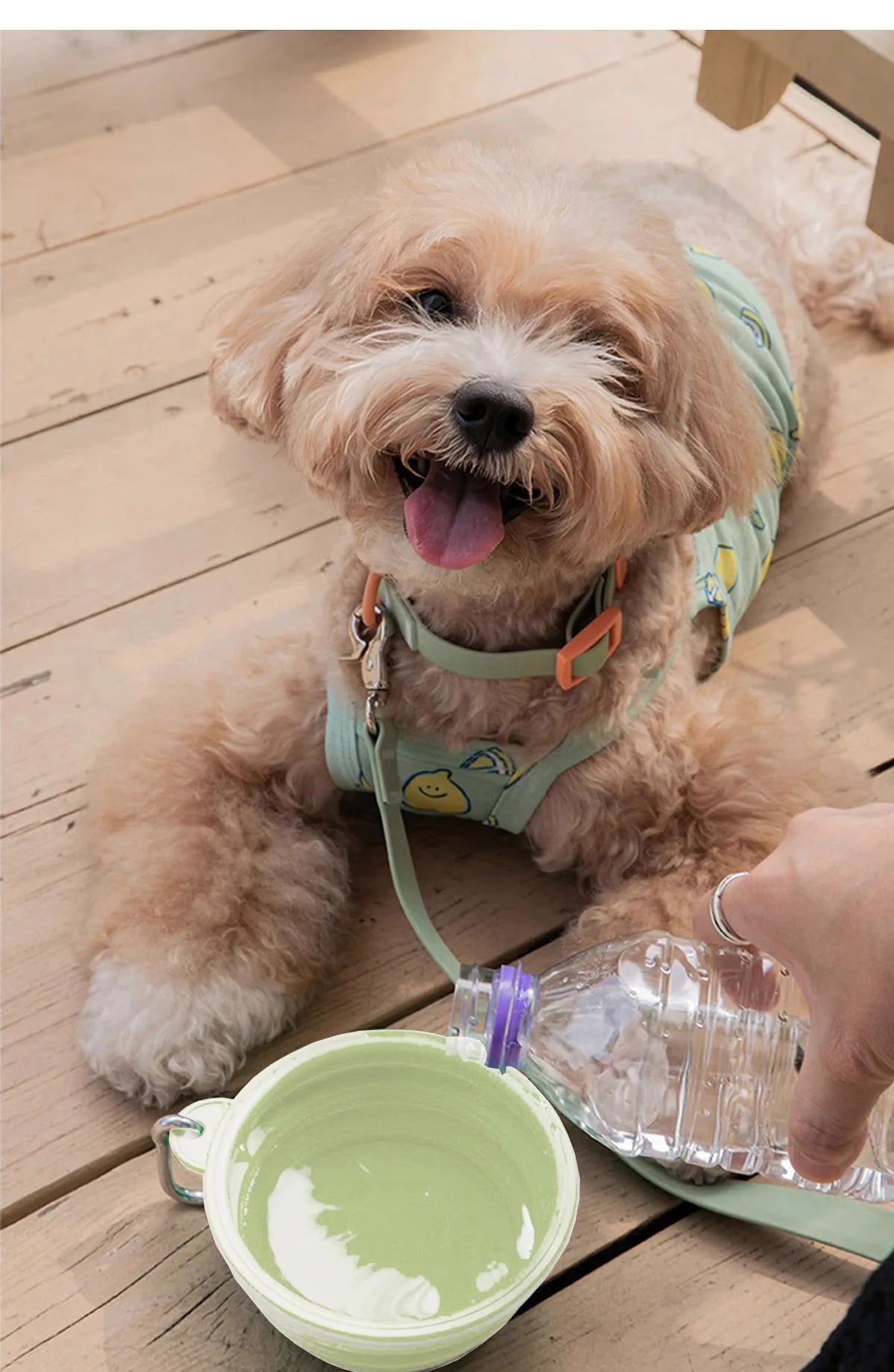 350/650ml Dog Bowl Multipurpose Collapsible Silicone Feeder Dish Bowl Portable Large Capacity Puppy Water Food Container Travel