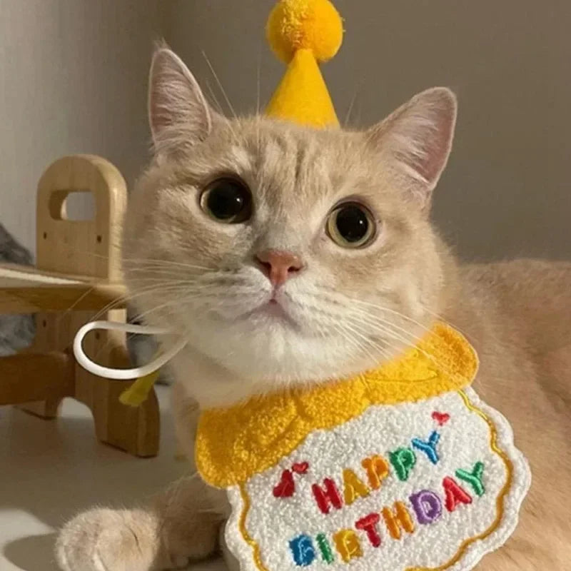 Pet Birthday Party Hat Bib Dogs Cat Dress Up Caps Bib Cat Saliva Towel Funny Photography Props Gift Cute Pet Costume Decoration