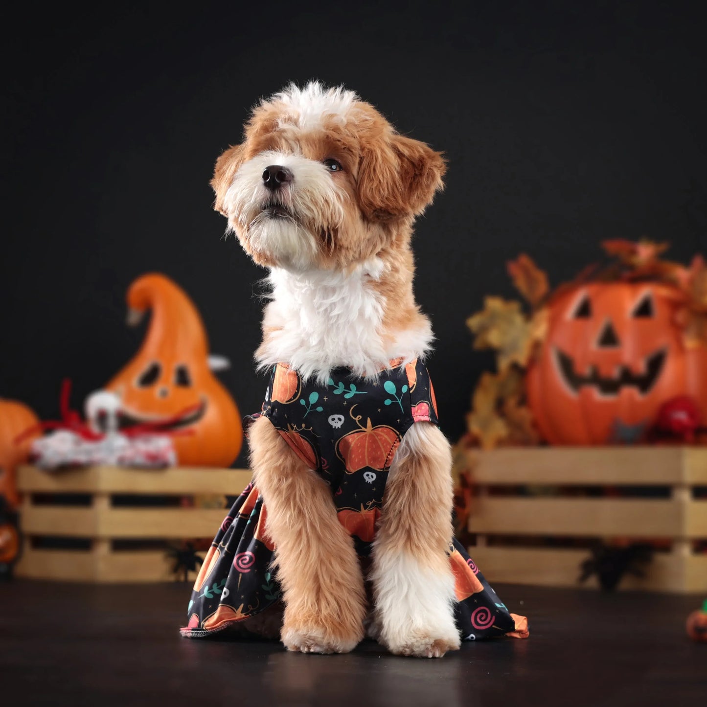 New Fun Dog Halloween Costume Pet Lace Hair Proof Dress Dog Clothes Gift Dog Dresses for Small Dogs