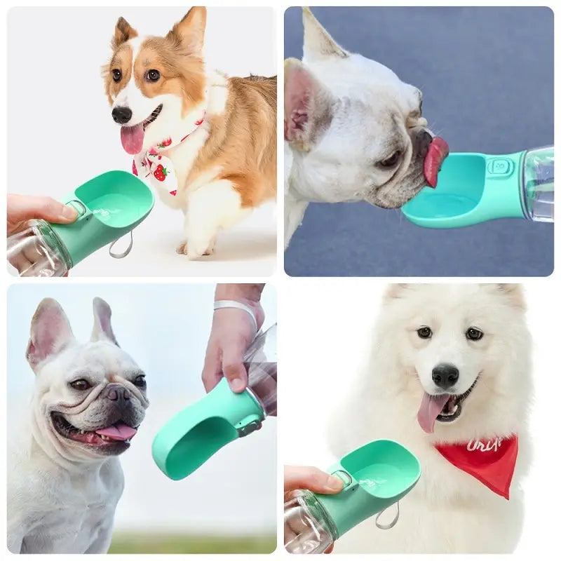 Pet Travel Water Bottle Portable Dog Water Bottle For Small Large Dogs Bowl Outdoor Walking Puppy Cat Drinking Bowl Dog Supplie