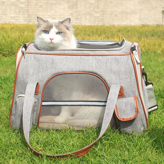 0-6 KG CAT Dog Pet airplane Carriers Breathable Mesh Foldable Large Capacity Cat Carrying Bag Outdoor Travel Pets Supplies bag