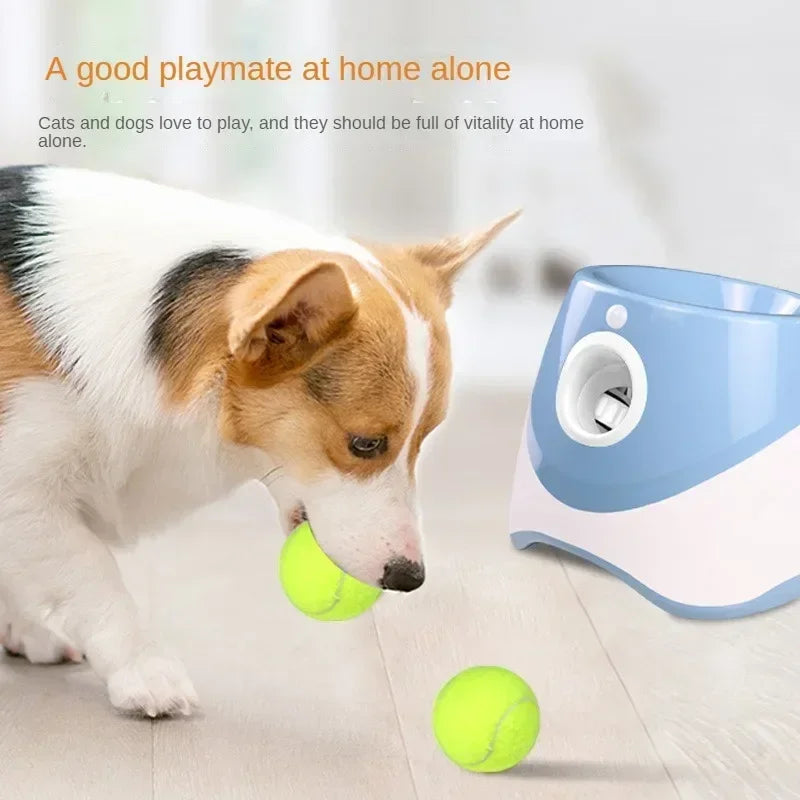 Automatic Pet Throw Jump Ball Dog Catapult Ball Launcher Dog Toy Bulldog Toy Tennis Machine Automatic Pet Throw